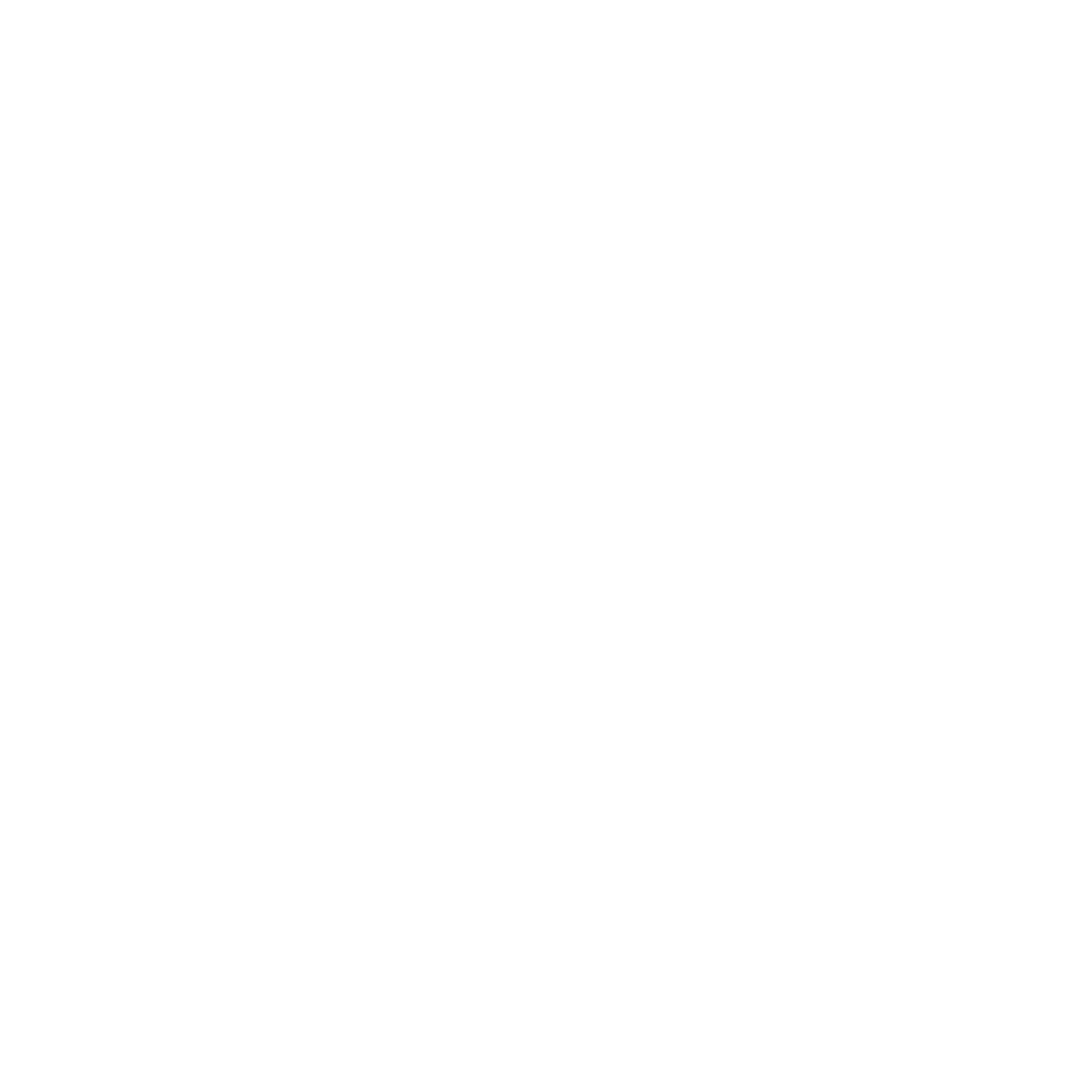 Ícono Software personalizado