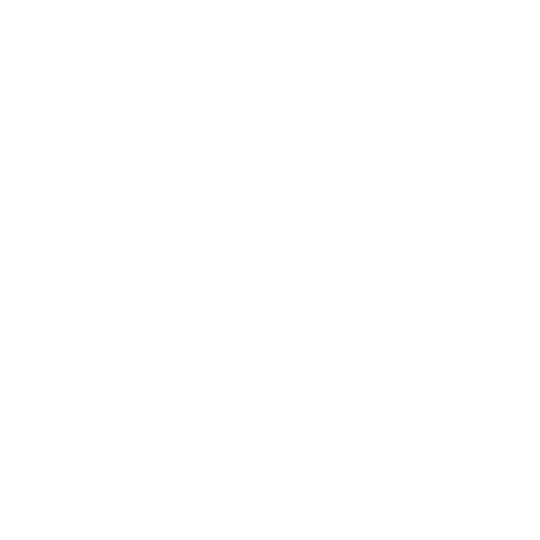 Custom Software Development icon